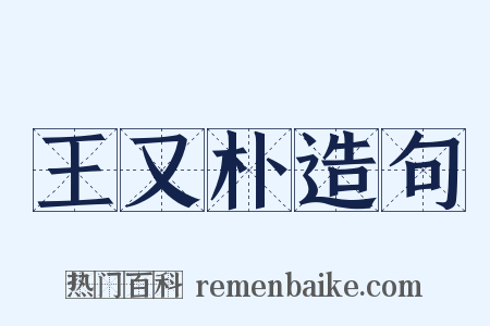 王又朴造句是什么意思的图片